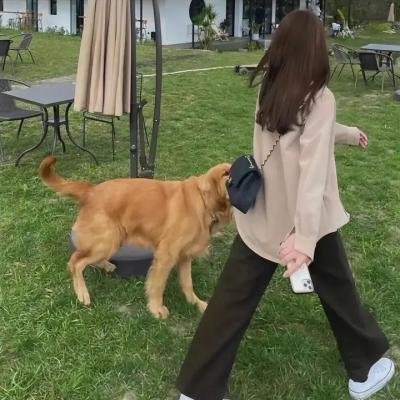 亲爱的，看招